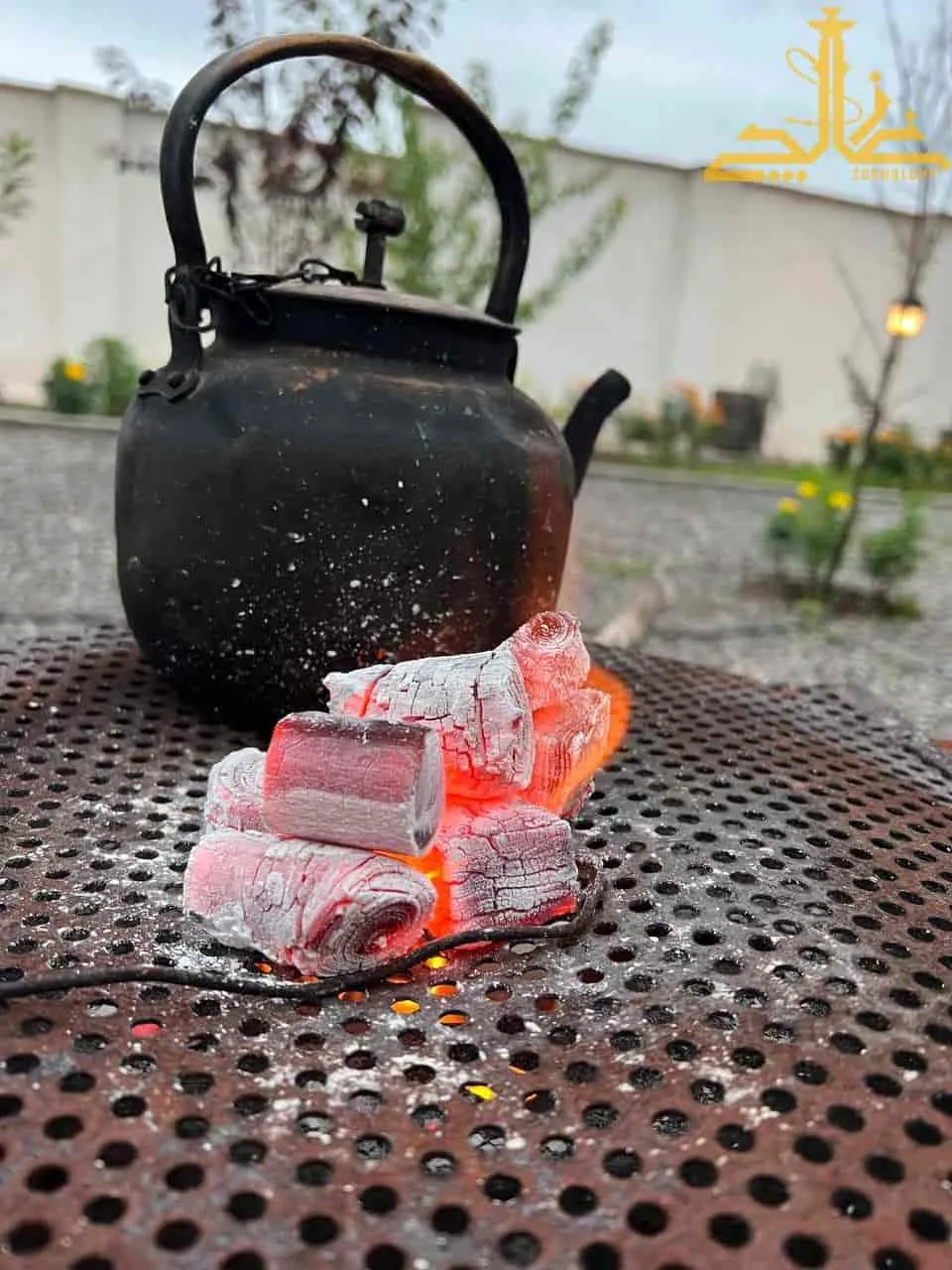 زغال لیمو قلم 5 زغال لیمو قلم