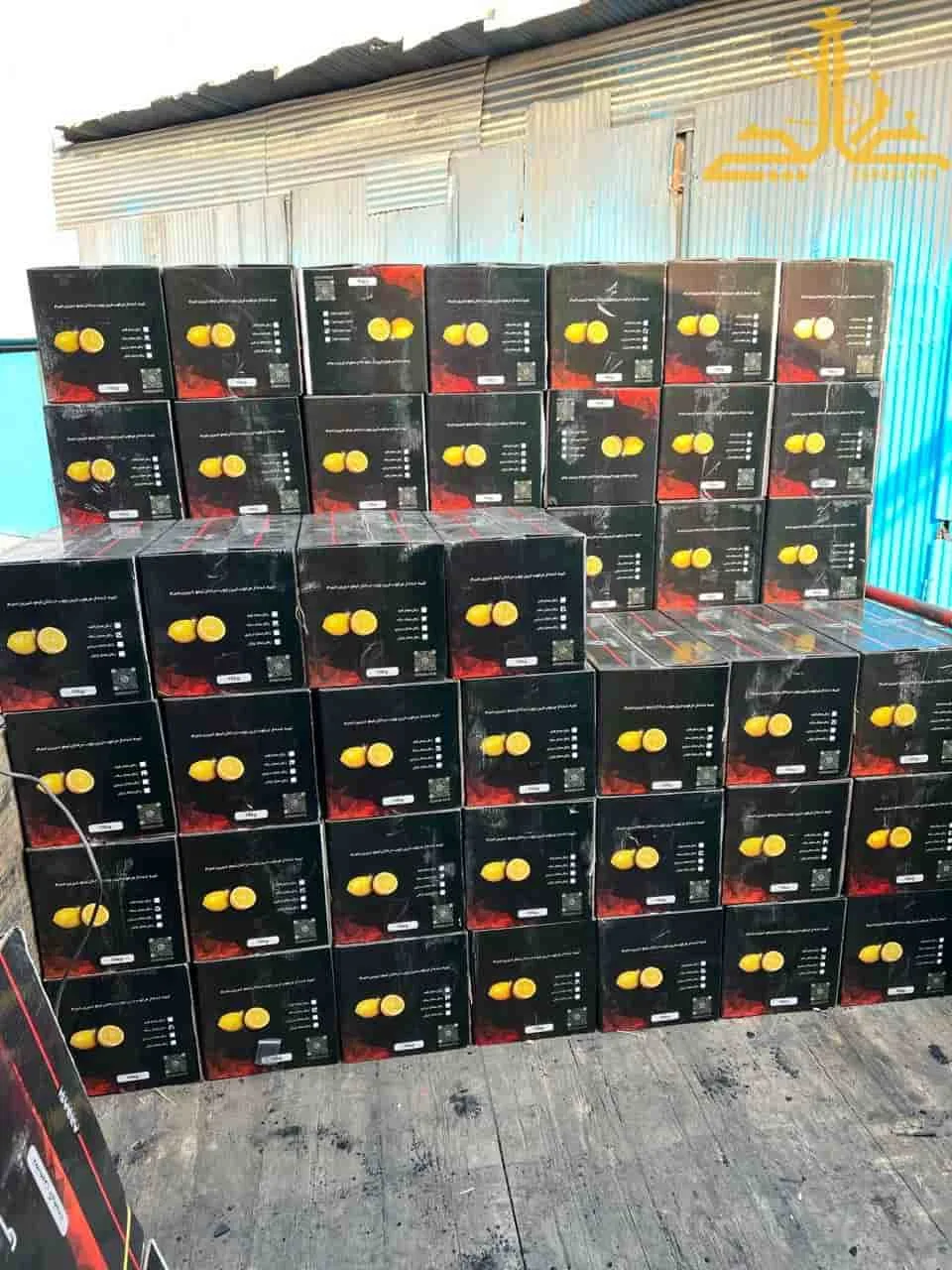 زغال لیمو قلم 6 زغال لیمو قلم